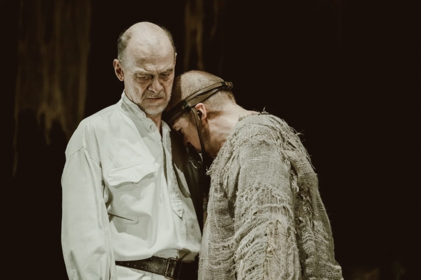 История лошади