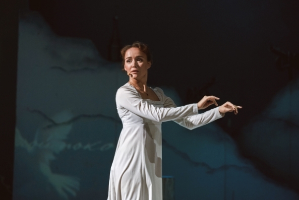 Капитанская дочка