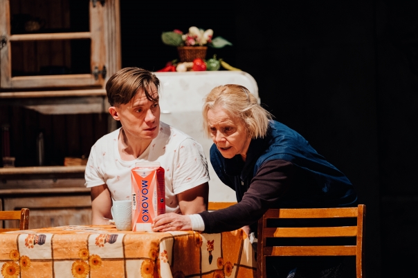 Похороните меня за плинтусом